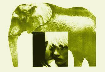 Cinema Cicle Perifèriques: “Elephant”