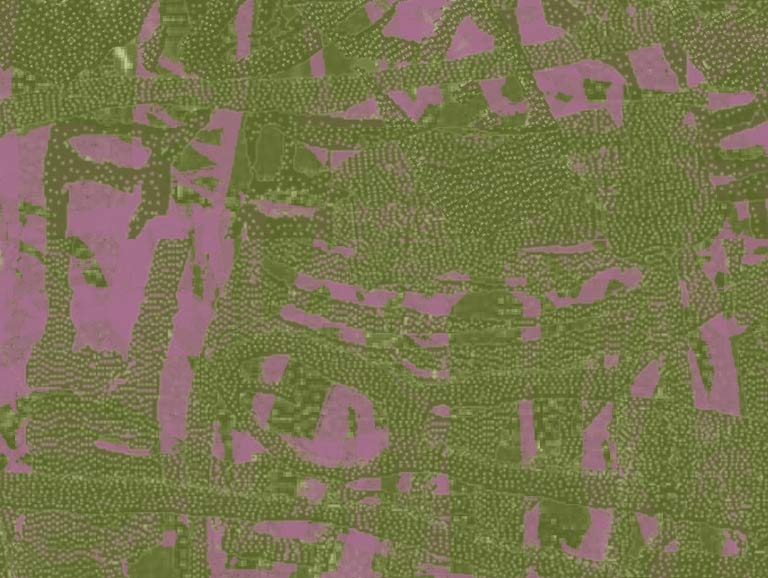 Fanzins transformadors: joves davant les violències masclistes