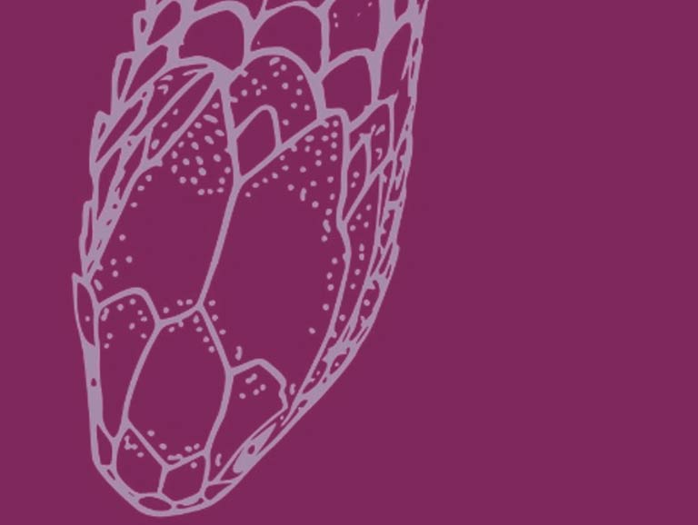 III. Interclubs d’esports de contacte i arts marcials no mixtes