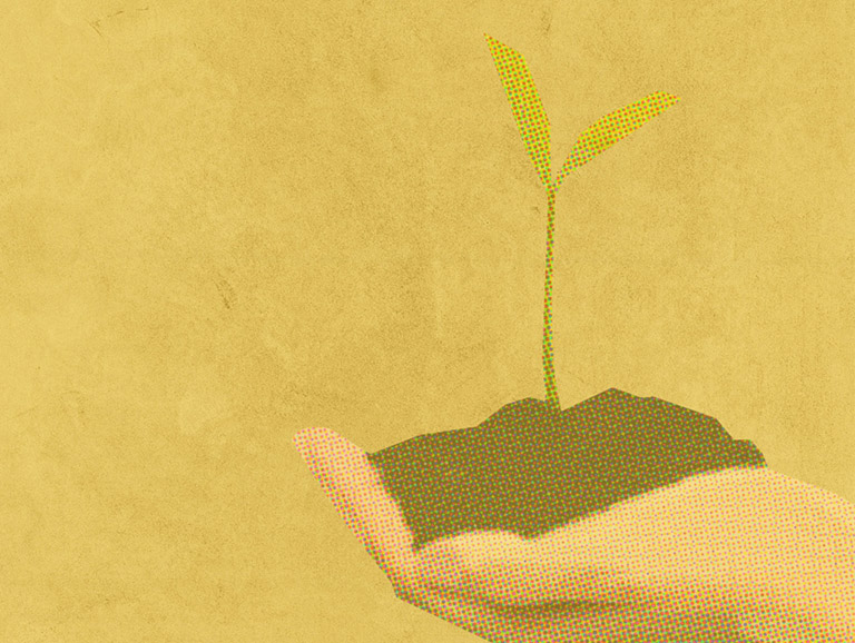 Xerrada i taller. Diàlegs verds: Horts comunitaris