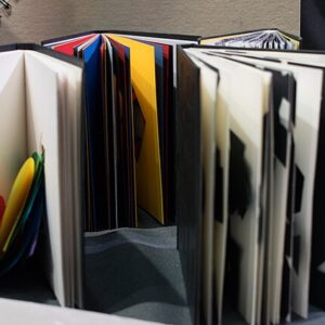 Llibres d'artista (a partir de 5 anys)