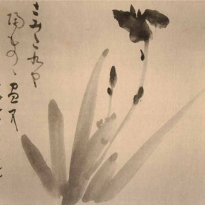 Sumi-e: gats i flors d'enfiladissa