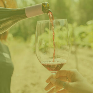 Tast de vins fets per dones de la DO Penedès